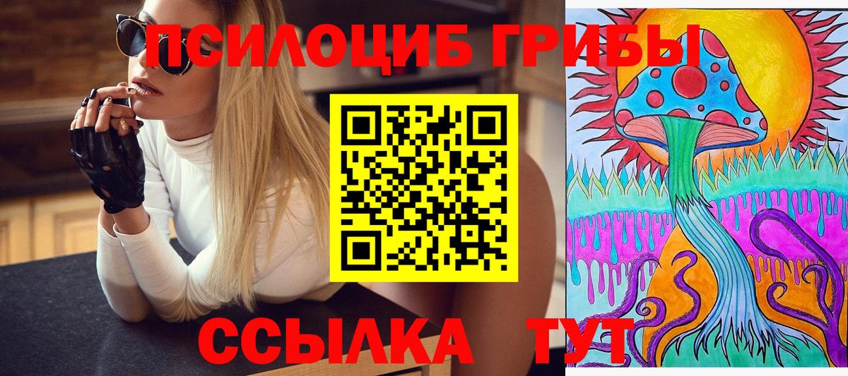 Галлюциногенные грибы мухоморы  где купить   Алушта  Вход с VPN 